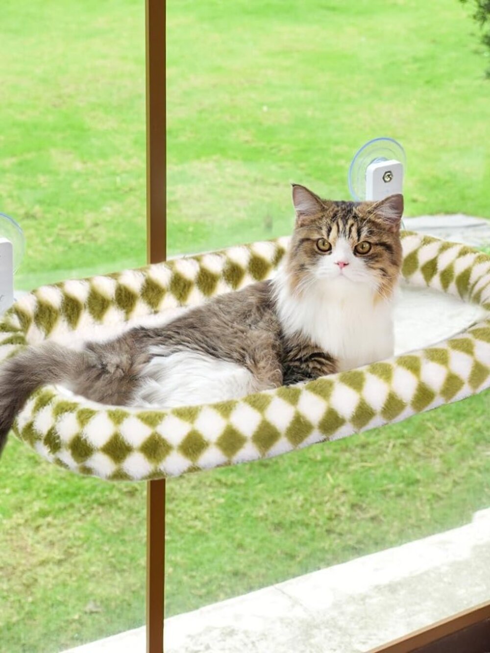 New AMOSIJOY Cordless Cat Window Perch